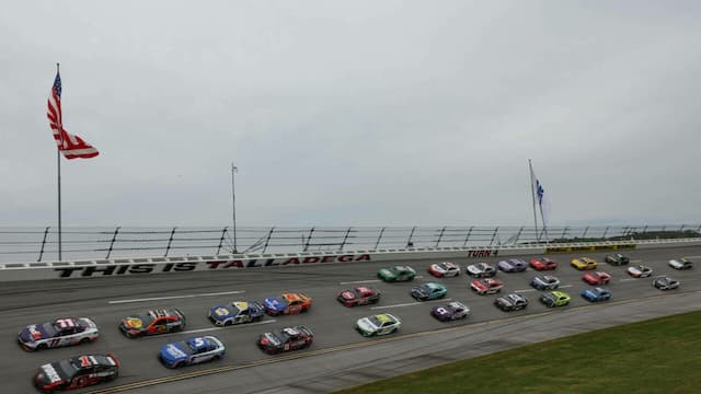 Talladegael