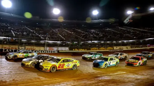 Dirt Large